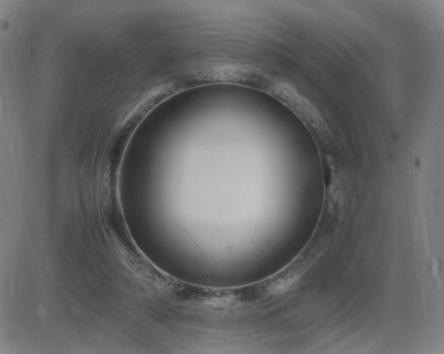 X0000082750306200702021417