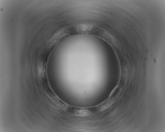 X0000082750324200702021417