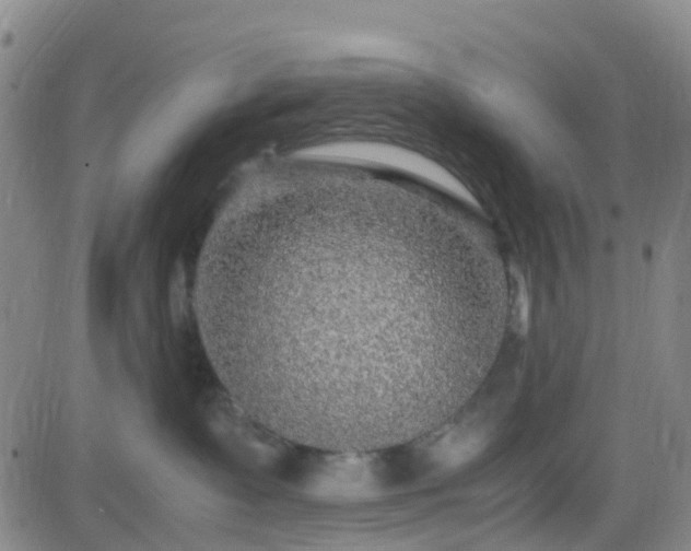X0000082750335200702021417