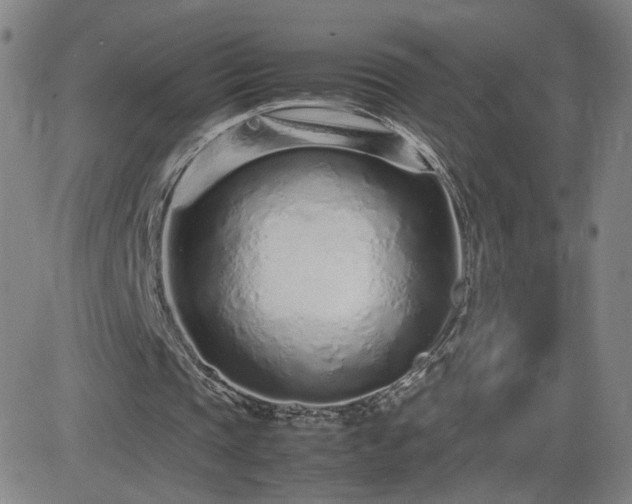X0000082750337200702021416