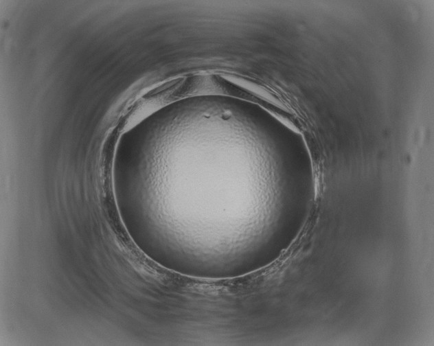 X0000082750339200702021416