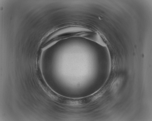 X0000082750349200702021416
