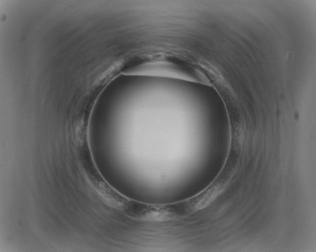 X0000082750364200702021416