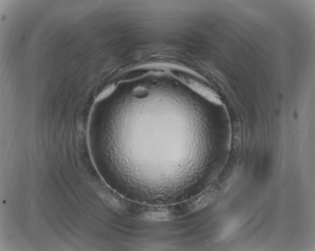 X0000082750369200702021416
