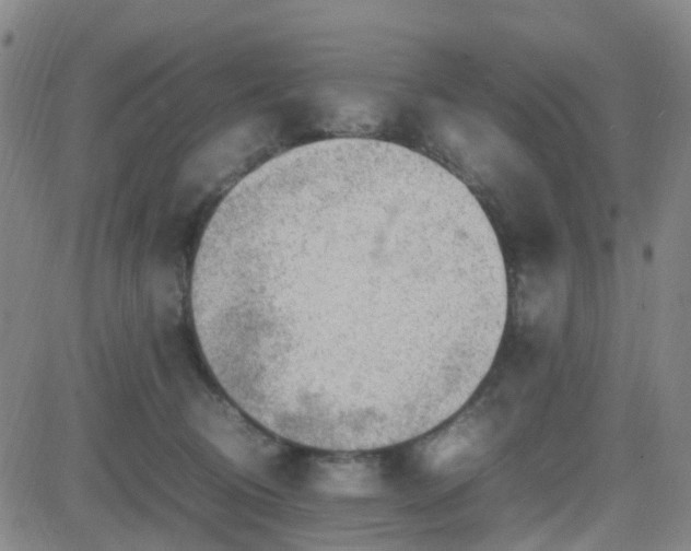 X0000082750370200702021416