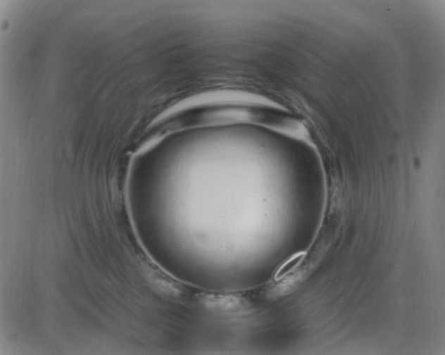 X0000082750377200702021416