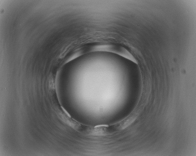 X0000082750384200702021417