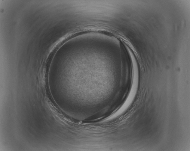 X0000082750387200702021416
