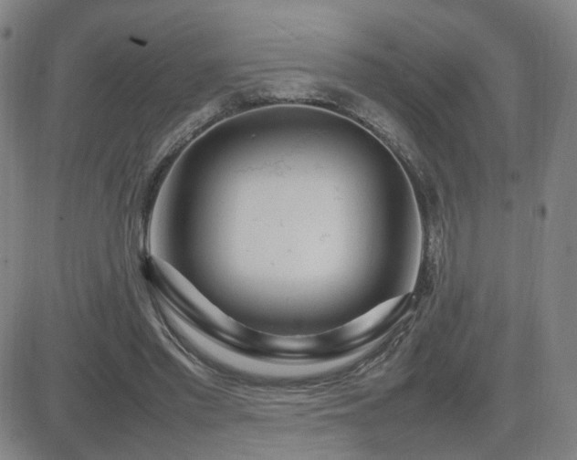 X0000082750397200702021416