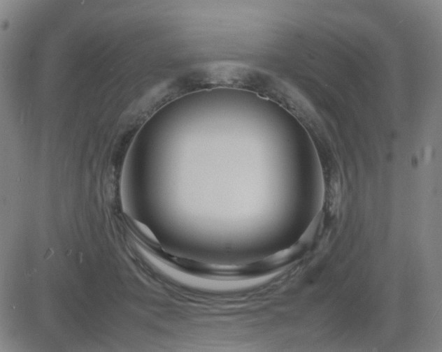 X0000082750413200702021415