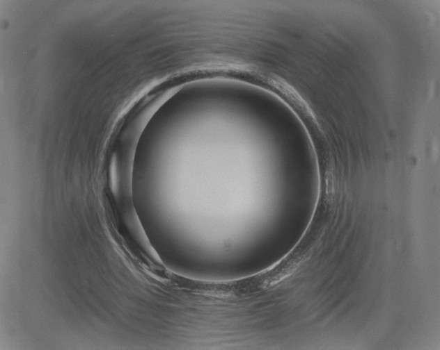 X0000082750436200702021414