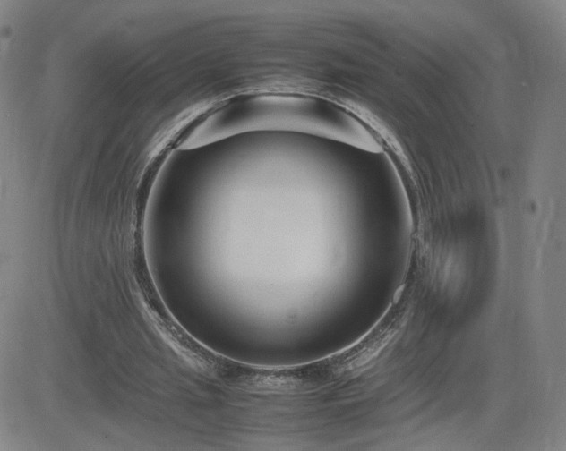 X0000082750437200702021414