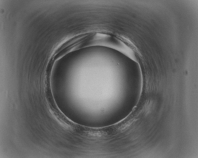 X0000082750439200702021414