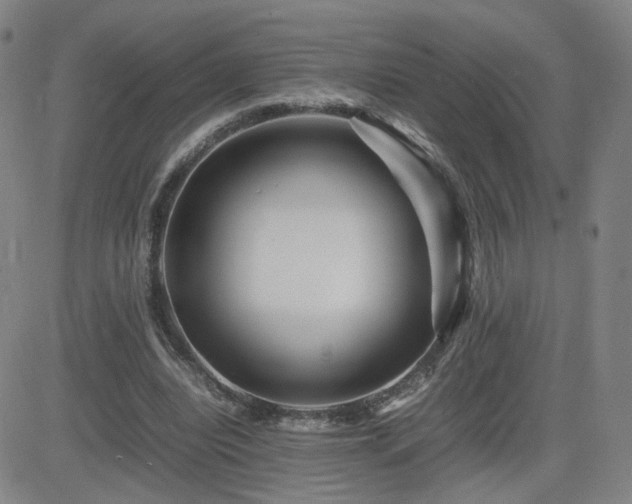 X0000082750440200702021414