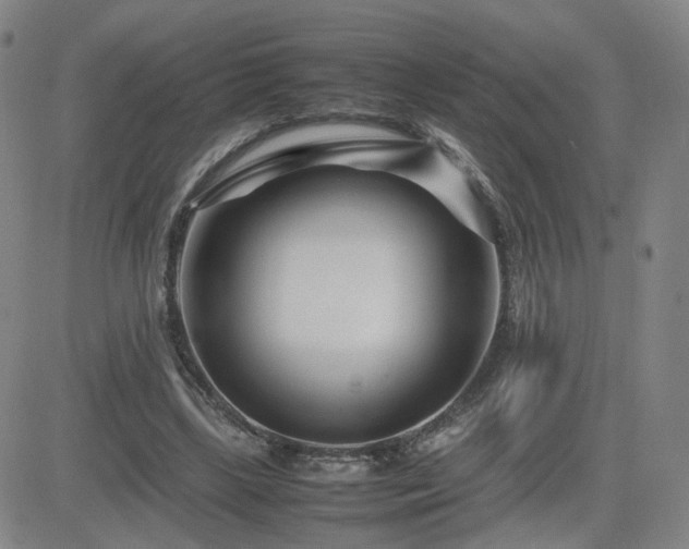 X0000082750443200702021414