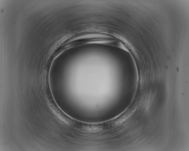 X0000082750445200702021414