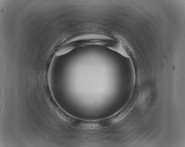 X0000082750449200702021414