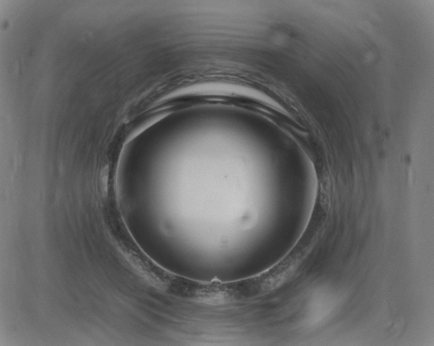 X0000082750454200702021415