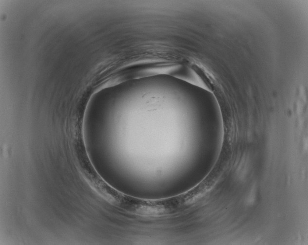 X0000082750455200702021415