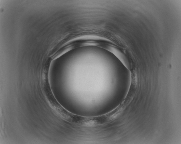 X0000082750456200702021415