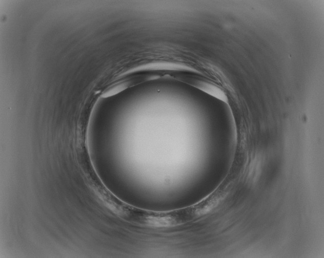 X0000082750457200702021415
