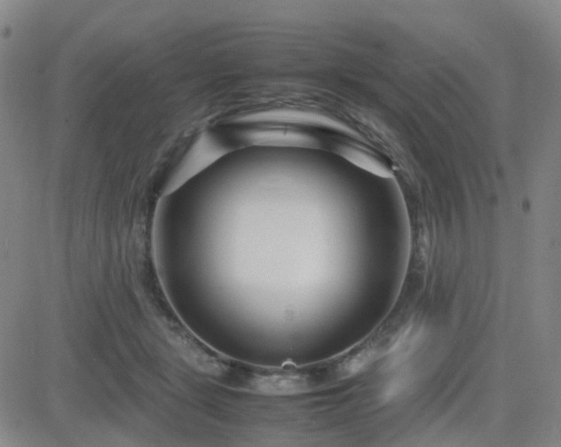 X0000082750461200702021415