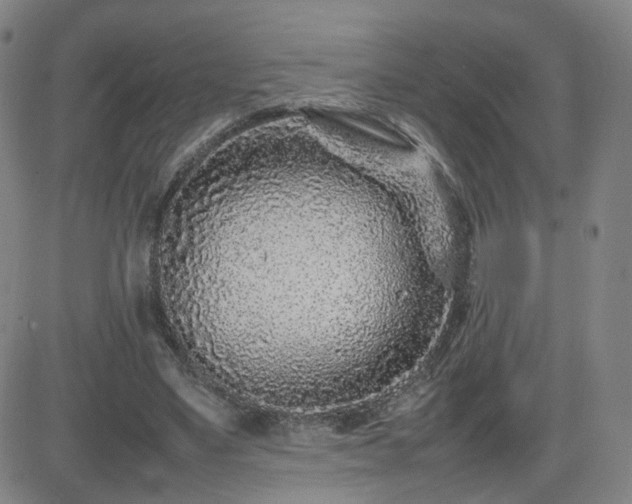 X0000082750491200702021414