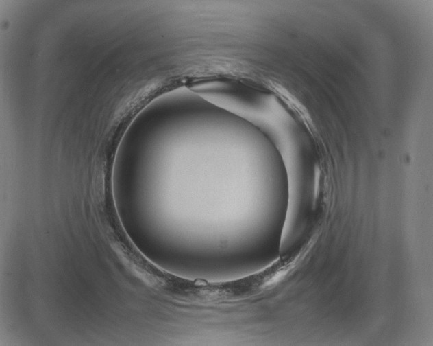 X0000082750493200702021414