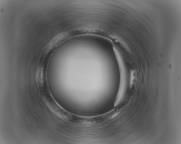 X0000082750494200702021414
