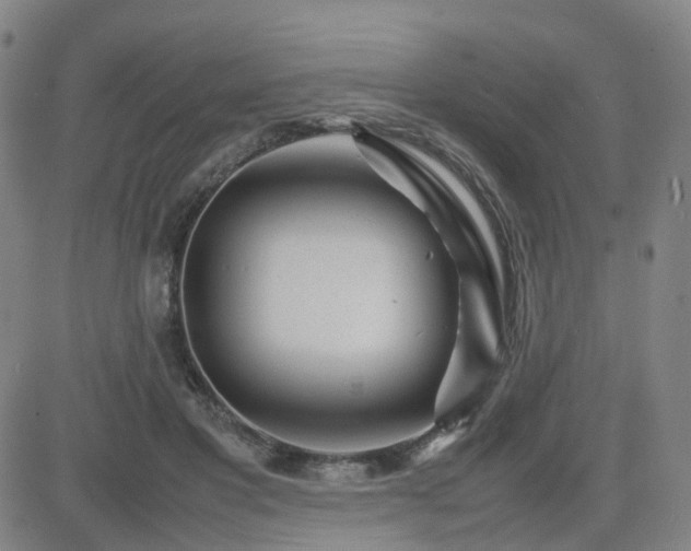 X0000082750501200702021414