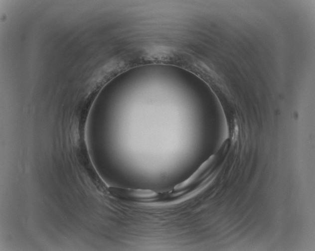 X0000082750508200702021414