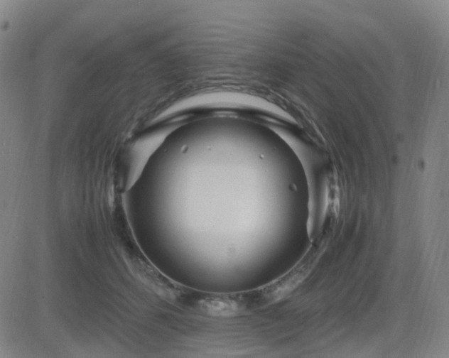 X0000082750512200702021414
