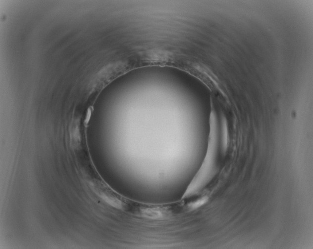 X0000082750516200702021414