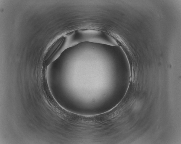 X0000082750531200702021413