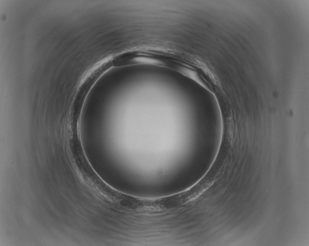 X0000082750536200702021413