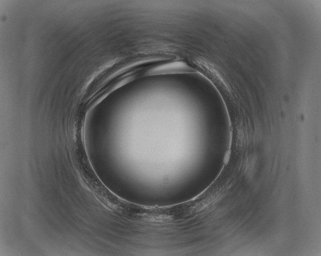X0000082750539200702021413