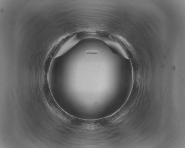 X0000082750540200702021413