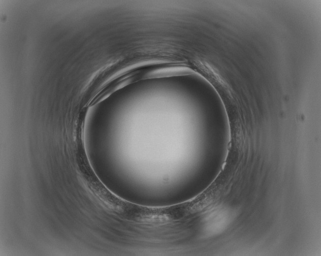 X0000082750543200702021413