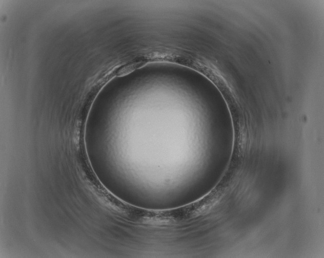 X0000082750545200702021413