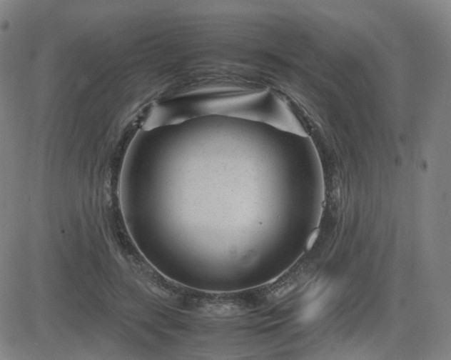 X0000082750547200702021413