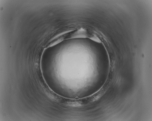 X0000082750553200702021413