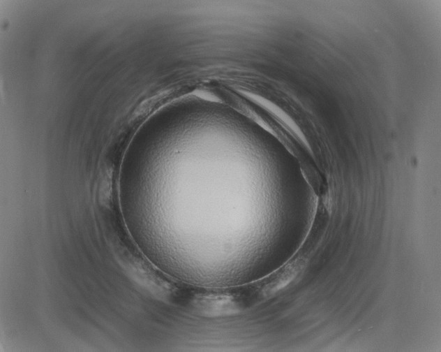 X0000082750554200702021413