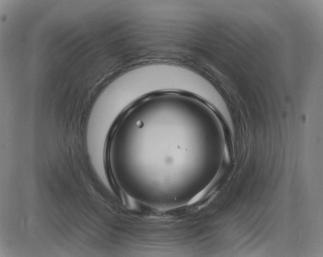 X0000082750556200702021413