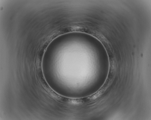 X0000082750565200702021413