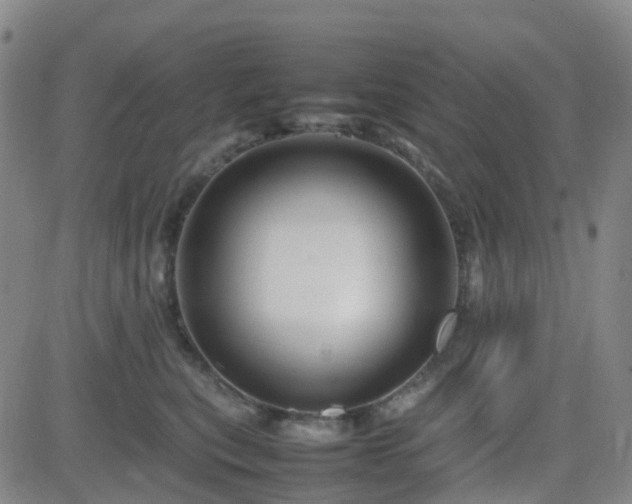 X0000082750567200702021413