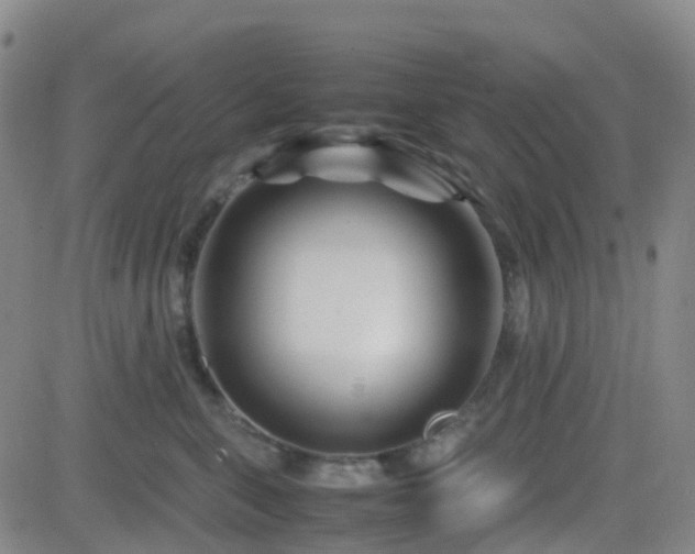 X0000082750571200702021413