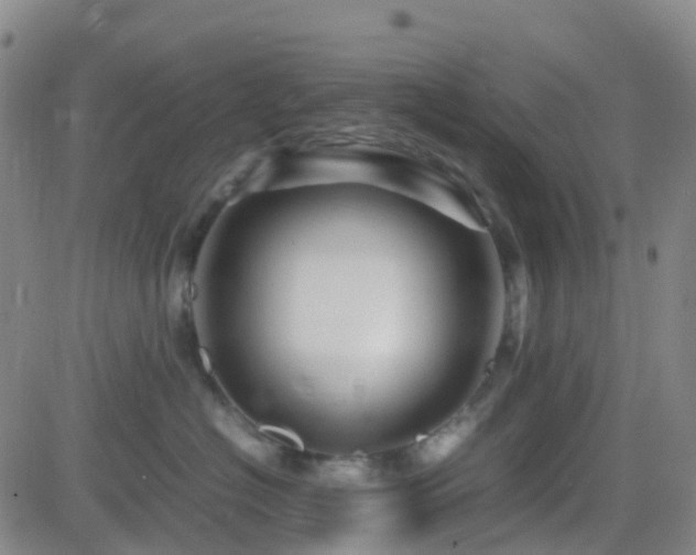 X0000082750574200702021413