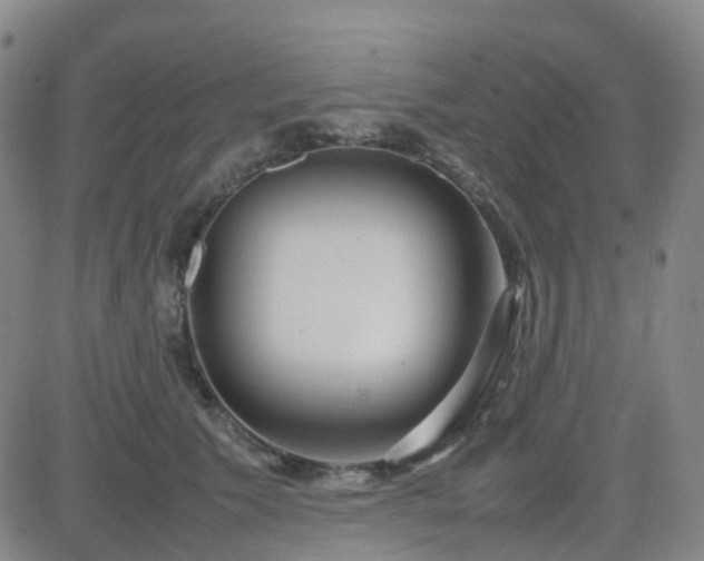 X0000082750609200702021412