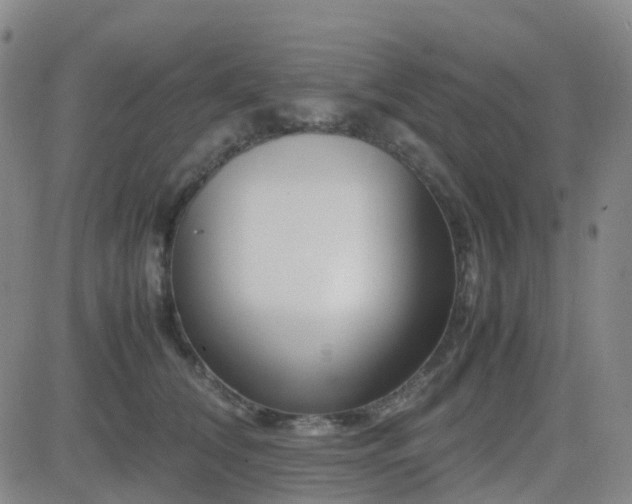 X0000082750612200702021412