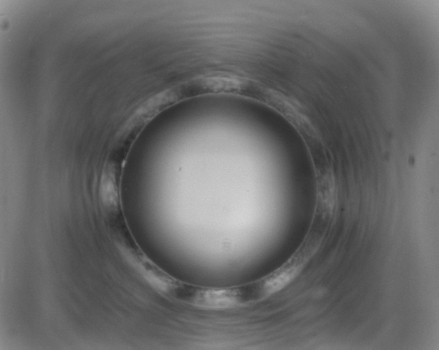 X0000082750622200702021412